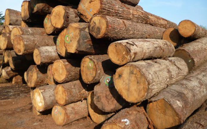 gỗ sồi thuộc nhóm mấy