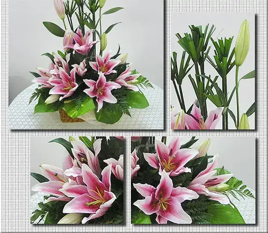 Hoa Để Bàn Đẹp Ngày Tết Hoa Để Bàn Đẹp Ngày Tết