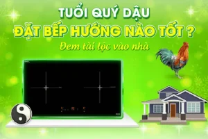Hướng Bếp Tuổi Quý Dậu