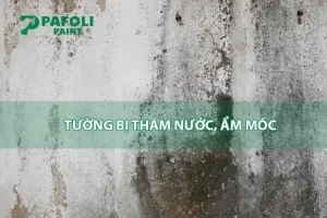 Khắc Phục Tường Bị Thấm Nước