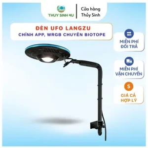 Làm Bể Thủy Sinh Giá Rẻ