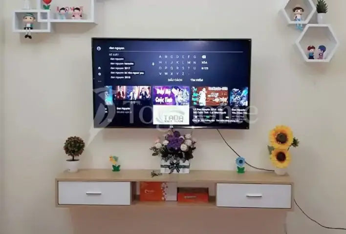 Lọ Hoa Để Kệ Tivi Lọ Hoa Để Kệ Tivi