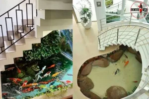 Mẫu Thiết Kế Bể Cá Dưới Gầm Cầu Thang