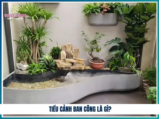 Mẫu Thiết Kế Tiểu Cảnh Mẫu Thiết Kế Tiểu Cảnh