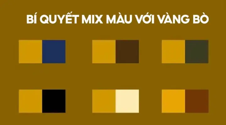 Màu Vàng Đất Hợp Mệnh Gì Màu Vàng Đất Hợp Mệnh Gì