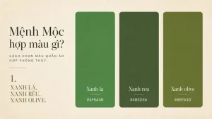 Mệnh Mộc Hợp Với Gì