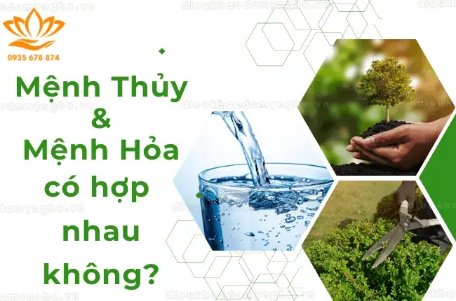 Mệnh Thuỷ Có Hợp Với Gỗ Không