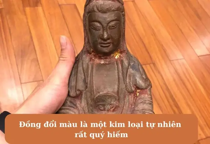 Nhận Biết Gỗ Đổi Màu Nhận Biết Gỗ Đổi Màu