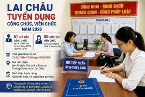 Nội Thất Chi Lai Tuyển Dụng