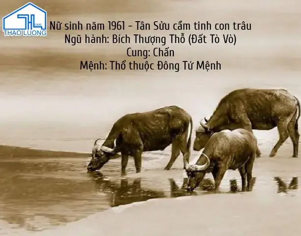 Nữ Sinh Năm 1961 Hợp Hướng Nào Nữ Sinh Năm 1961 Hợp Hướng Nào