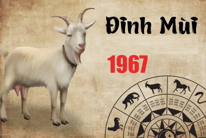 Phong Thủy Phòng Ngủ Tuổi Đinh Mùi Phong Thủy Phòng Ngủ Tuổi Đinh Mùi