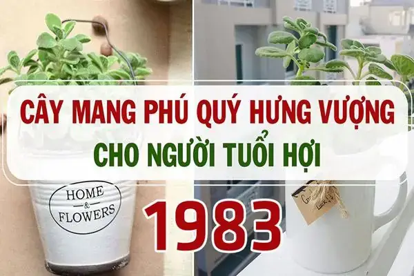 Sinh Năm 1983 Hợp Cây Gì Sinh Năm 1983 Hợp Cây Gì
