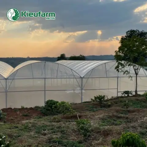 Thiết Kế Thi Công Nhà Kính Thiết Kế Thi Công Nhà Kính