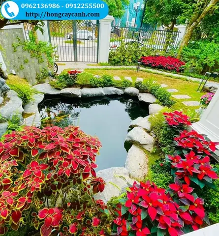 Tiểu Cảnh Sân Vườn Mini Đẹp