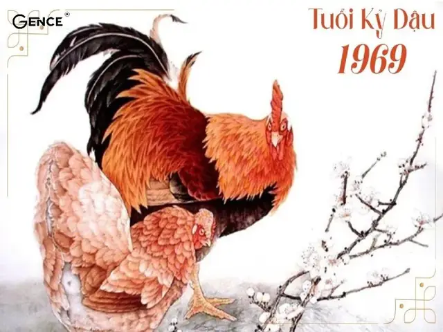 Tuoi Ky Dau Hop Huong Nao Tuoi Ky Dau Hop Huong Nao
