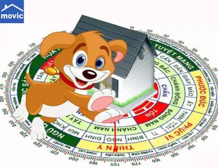 Tuoi Mau Tuat Hop Huong Nao Tuoi Mau Tuat Hop Huong Nao