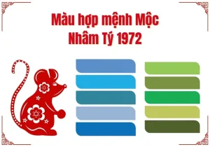 Tuổi Nhâm Tý Nữ Mạng Hợp Màu Gì