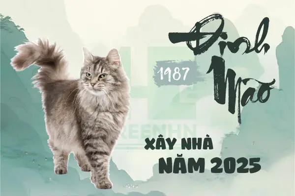Xây Nhà Tuổi Đinh Mão