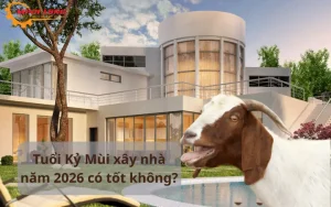 Xây Nhà Tuổi Kỷ Mùi