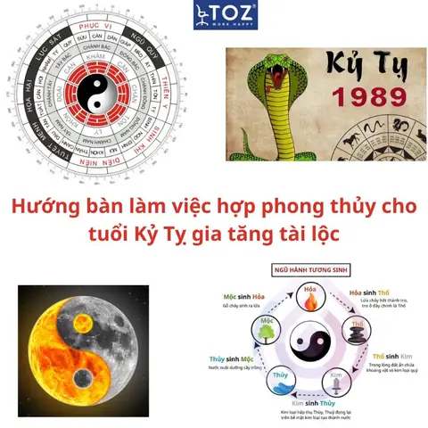Xem Phong Thủy Tuổi Kỷ Tỵ Xem Phong Thủy Tuổi Kỷ Tỵ